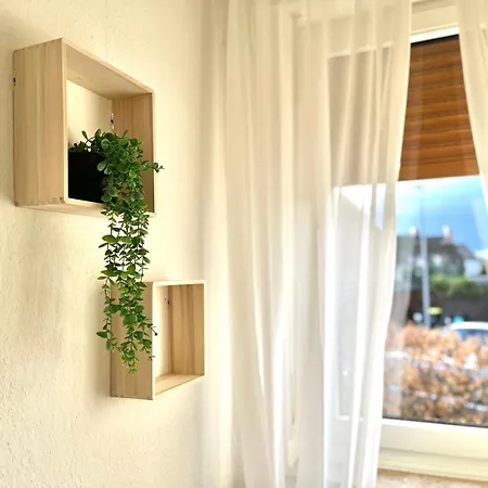 Apartment Mit 24h Check In *